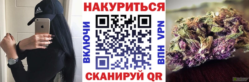 Конопля гибрид  Соль-Илецк 